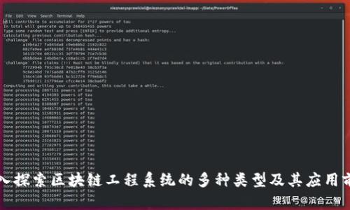 深入探索区块链工程系统的多种类型及其应用前景