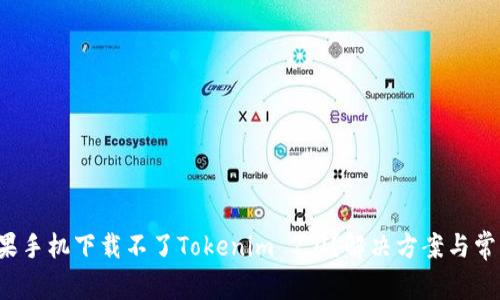  为什么苹果手机下载不了Tokenim 2.0？解决方案与常见问题解析