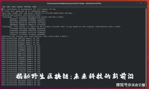 揭秘野生区块链：未来科技的新前沿