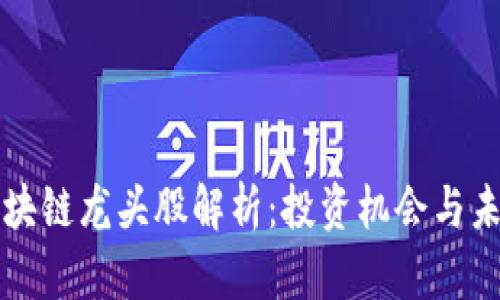 美国区块链龙头股解析：投资机会与未来趋势