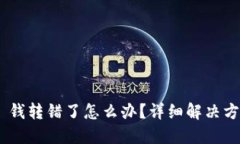 Tokenim 2.0 钱转错了怎么办？详细解决方案与预防