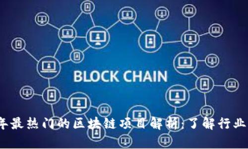 2023年最热门的区块链项目解析：了解行业新趋势