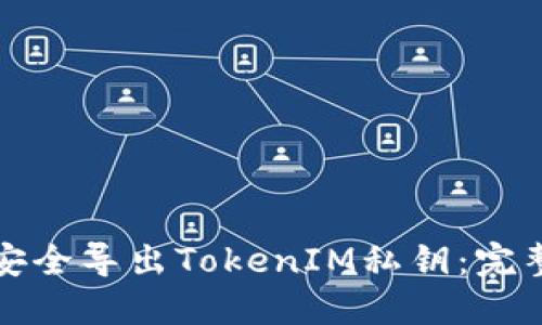 如何安全导出TokenIM私钥：完整指南