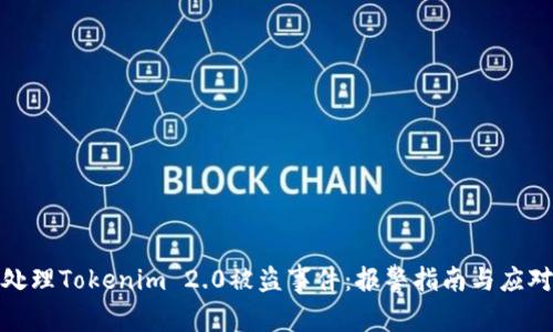 如何处理Tokenim 2.0被盗事件：报警指南与应对措施