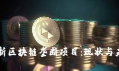 解析区块链垄断项目：现状与未来