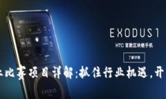 区块链就业比赛项目详解：抓住行业机遇，开启