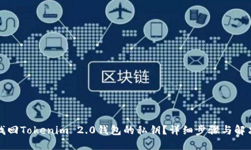 如何找回Tokenim 2.0钱包的私钥？详细步骤与解决方案