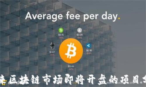 
未来区块链市场即将开盘的项目分析