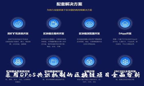 采用DPoS共识机制的区块链项目全面分析