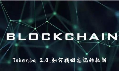Tokenim 2.0：如何找回忘记的私钥