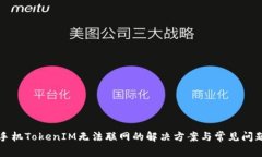 苹果手机TokenIM无法联网的解决方案与常见问题解