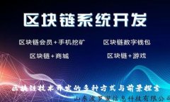 区块链技术开发的多种方式与前景探索
