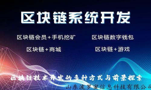 区块链技术开发的多种方式与前景探索