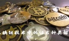 区块链技术中的证书种类解析
