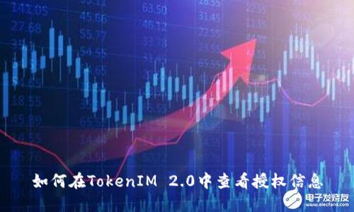 如何在TokenIM 2.0中查看授权信息