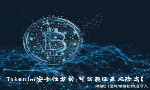 Tokenim安全性分析：可信赖还是风险高？