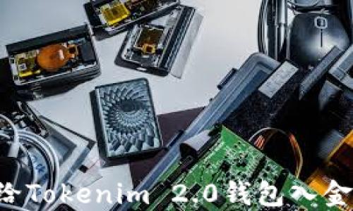 
如何轻松给Tokenim 2.0钱包入金：详细指南