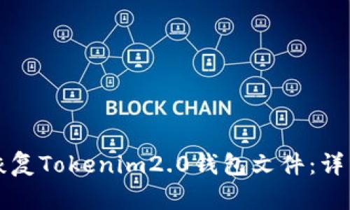 如何恢复Tokenim2.0钱包文件：详细指南