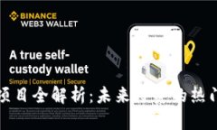 区块链投资项目全解析：未来投资的热门领域与
