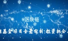 娄底区块链基金项目全景分析：投资机会与合作