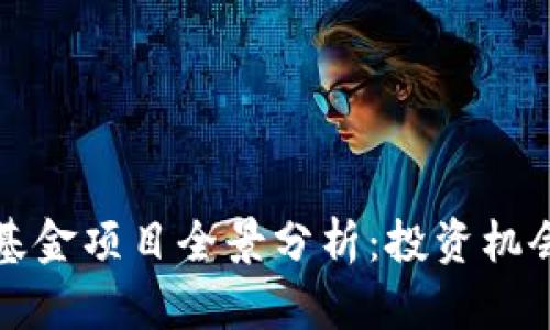 娄底区块链基金项目全景分析：投资机会与合作模式