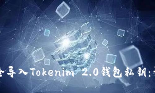 如何安全导入Tokenim 2.0钱包私钥：详细指南