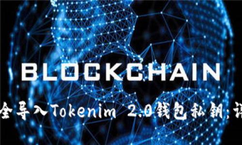 如何安全导入Tokenim 2.0钱包私钥：详细指南