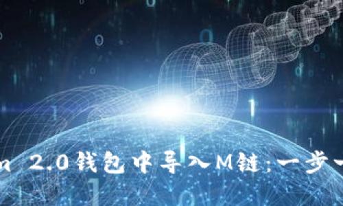 如何在Tokenim 2.0钱包中导入M链：一步一步的详细指南