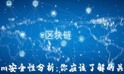 
Tokenim安全性分析：你应该了解的关键因素