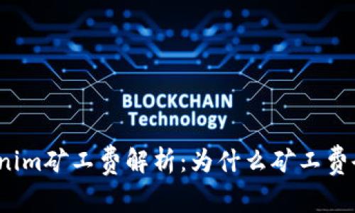 Tokenim矿工费解析：为什么矿工费会贵？