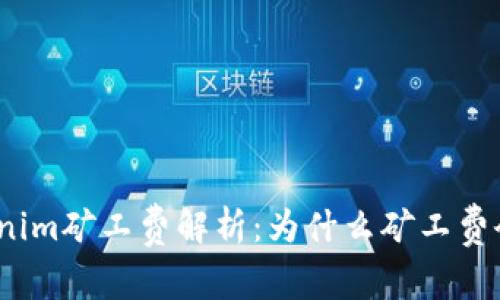 Tokenim矿工费解析：为什么矿工费会贵？