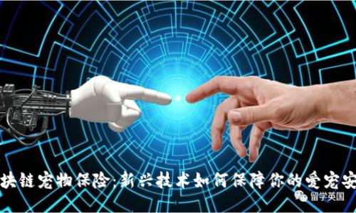 区块链宠物保险：新兴技术如何保障你的爱宠安全