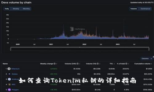 如何查询Tokenim私钥的详细指南