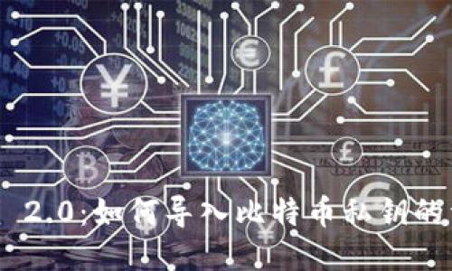 Tokenim 2.0：如何导入比特币私钥的详细指南