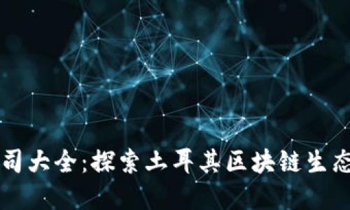 土耳其区块链公司大全：探索土耳其区块链生态系统的先锋力量