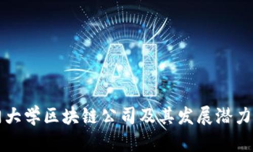 厦门大学区块链公司及其发展潜力分析