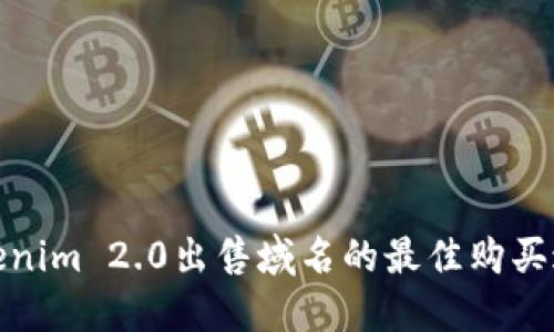Tokenim 2.0出售域名的最佳购买途径