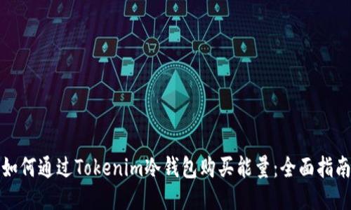 如何通过Tokenim冷钱包购买能量：全面指南