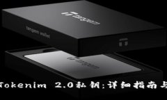 如何找回Tokenim 2.0私钥：详细指南与解决方案