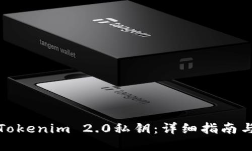 如何找回Tokenim 2.0私钥：详细指南与解决方案