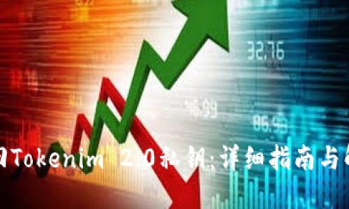 如何找回Tokenim 2.0私钥：详细指南与解决方案