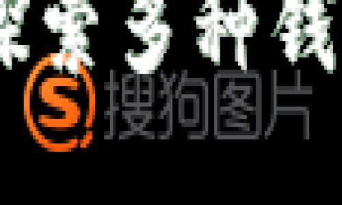 Tokenim 2.0：探索多种钱包类型及其特点