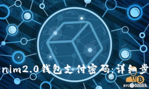 如何找回Tokenim2.0钱包支付密码：详细步骤与解决方案