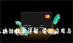 高性能区块链技术详解：前沿应用与发展趋势