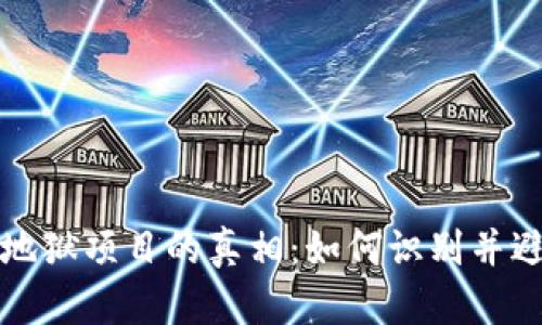 揭开区块链地狱项目的真相:如何识别并避免投资陷阱