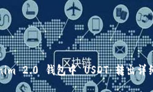 Tokenim 2.0 钱包中 USDT 转出详细指南