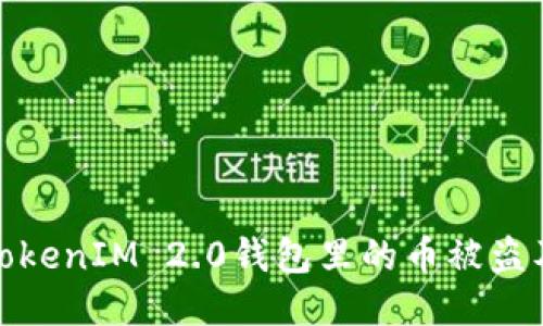 如何防止TokenIM 2.0钱包里的币被盗及应对措施