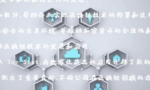 在美国区块链领域，有许多创新公司和初创企业活跃于不同的细分市场，以下是一些知名的区块链公司：

1. **Coinbase**：作为美国最大的加密货币交易所之一，Coinbase 提供一个简单易用的平台让用户买卖比特币、以太坊等加密货币。

2. **Ripple**：专注于金融行业，提供可用于跨境支付的区块链解决方案，旨在减少传统银行系统中的转账时间和成本。

3. **BlockFi**：这是一家金融服务公司，允许用户通过加密货币赚取利息，且提供加密货币借贷服务。

4. **Consensys**：专注于以太坊生态系统的开发，公司提供工具和基础设施，以促进区块链技术的普及。

5. **Chainalysis**：这是一家提供区块链数据分析服务的公司，帮助政府和金融机构监测和防范加密货币相关的犯罪活动。

6. **Circle**：以太坊上的稳定币 USDC 的发行公司，推动全球经济中的稳定币和区块链支付的发展。

7. **Bitfury**：一家全球领先的区块链技术公司，专注于提供区块链硬件和软件，帮助企业实现区块链技术的部署和使用。

8. **Gemini**：由 Winklevoss 双胞胎创办的数字资产交易所，致力于提供安全的交易环境，并推动加密货币的合法化和合规性。

9. **Ethereum Foundation**：支持以太坊平台和社区的组织，致力于推动区块链技术的发展和应用。

10. **Dapper Labs**：以其开发的 CryptoKitties 而闻名，后来推出 NBA Top Shot，为数字收藏品的应用开辟了新的领域。

以上公司不仅在技术上具有领先地位，也在推动区块链技术的商业化应用上做出了重要贡献。不同公司在区块链领域的方向和创新，各自解决着行业中的痛点，不断推动整个生态系统的演变与成熟。