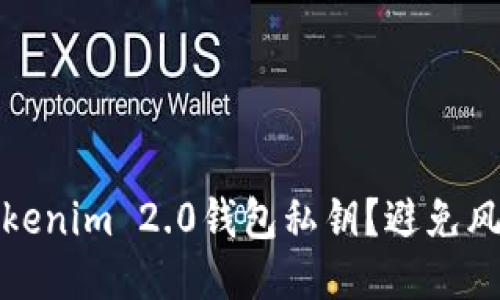 如何安全管理Tokenim 2.0钱包私钥？避免风险的方法与技巧