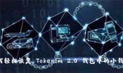如何轻松恢复 Tokenim 2.0 钱包中的小钱包？
